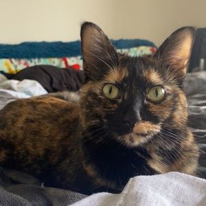 Meet your Posher, Sara